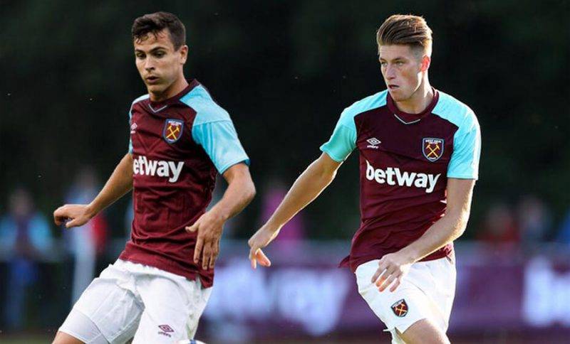 都显得极具 都显得极具