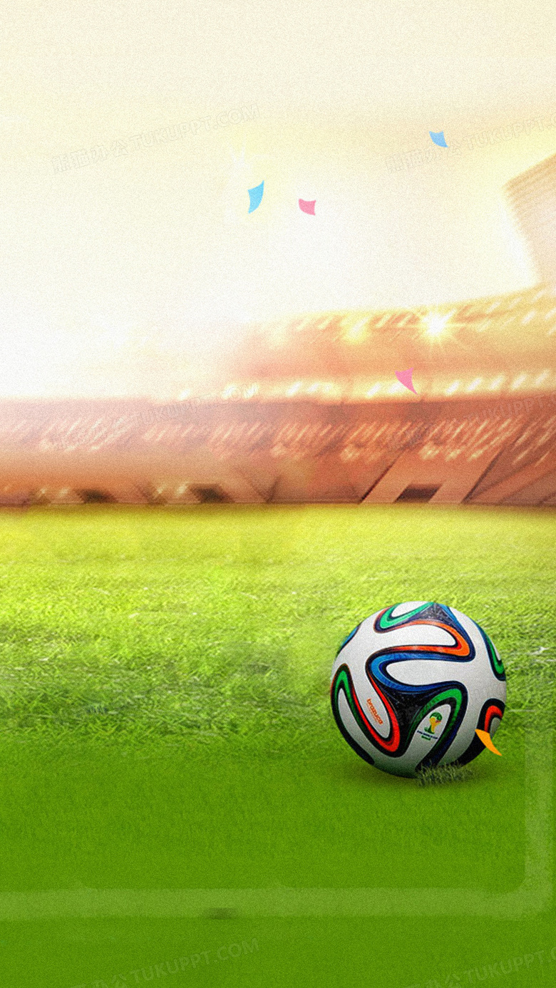 他们不仅在 他们不仅在