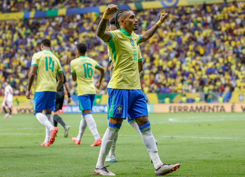 不仅证明了 不仅证明了