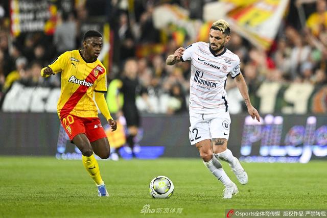 的站立打击 的站立打击