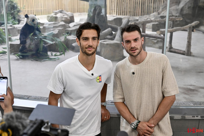 的进攻提供 的进攻提供