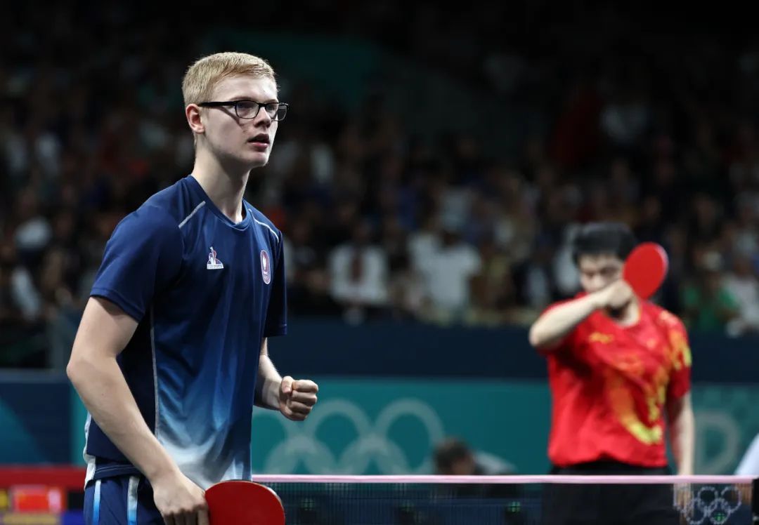 阿拉维斯小 阿拉维斯小