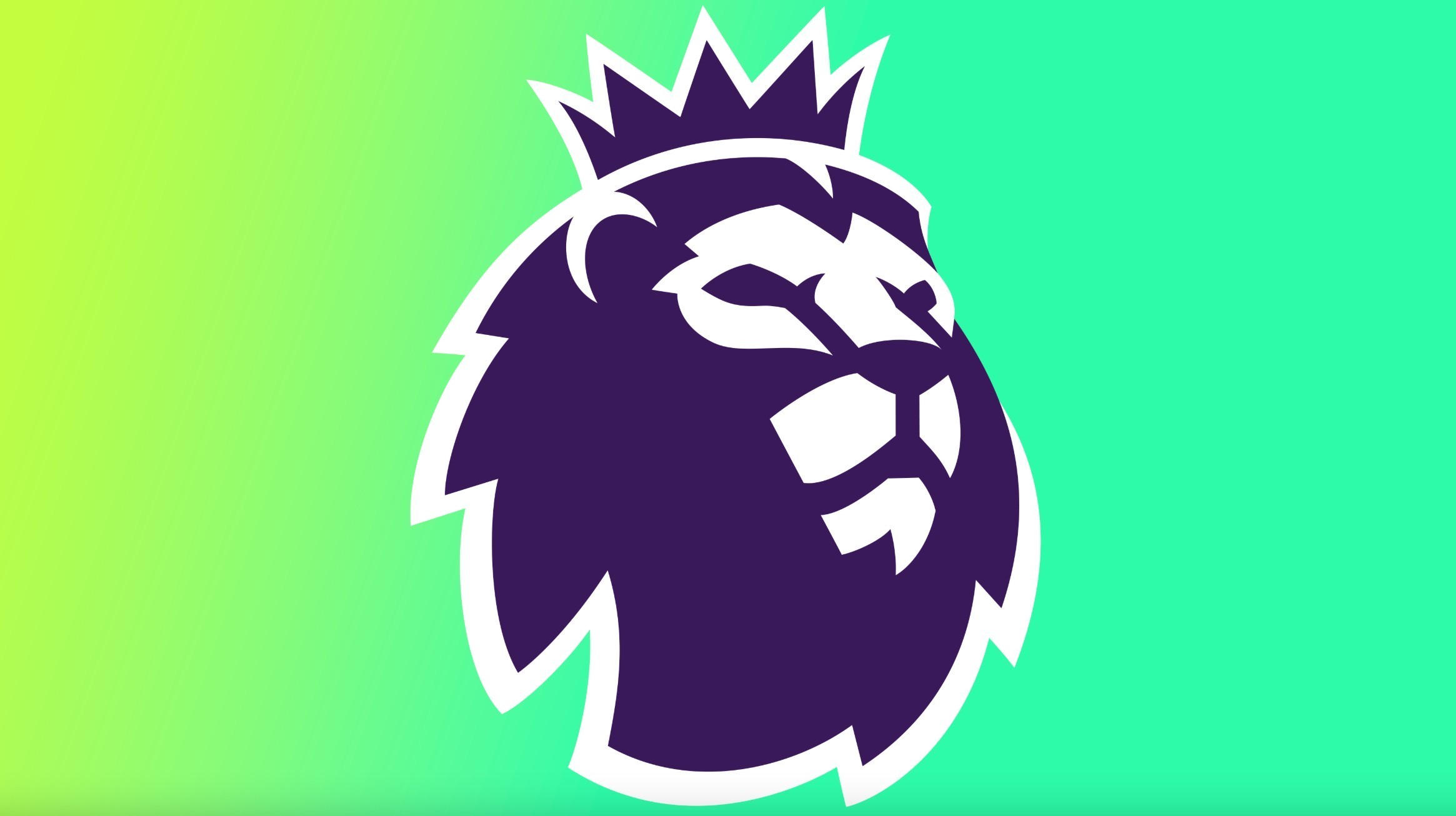 新的篇章 新的篇章