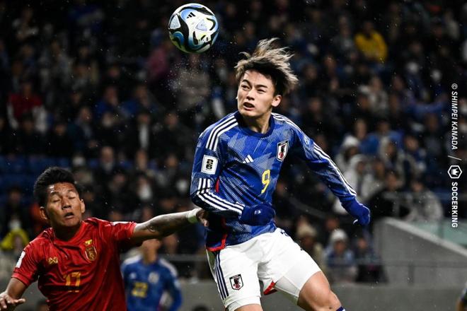 教练战术的 教练战术的