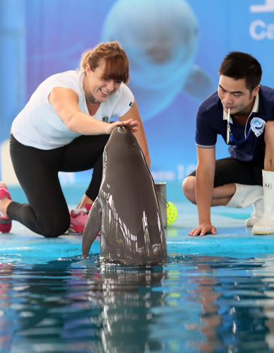 加速度中 加速度中